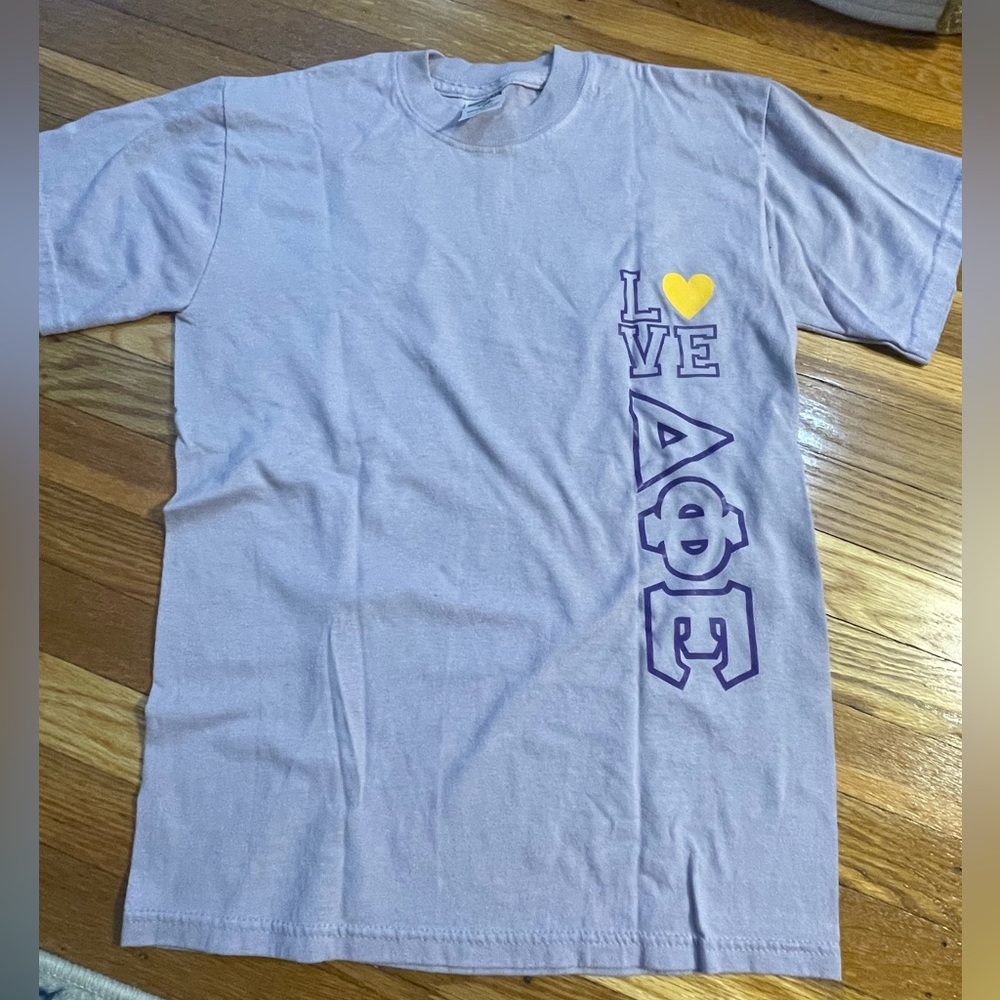 Delta Phi Epsilon Little T-Shirt, small